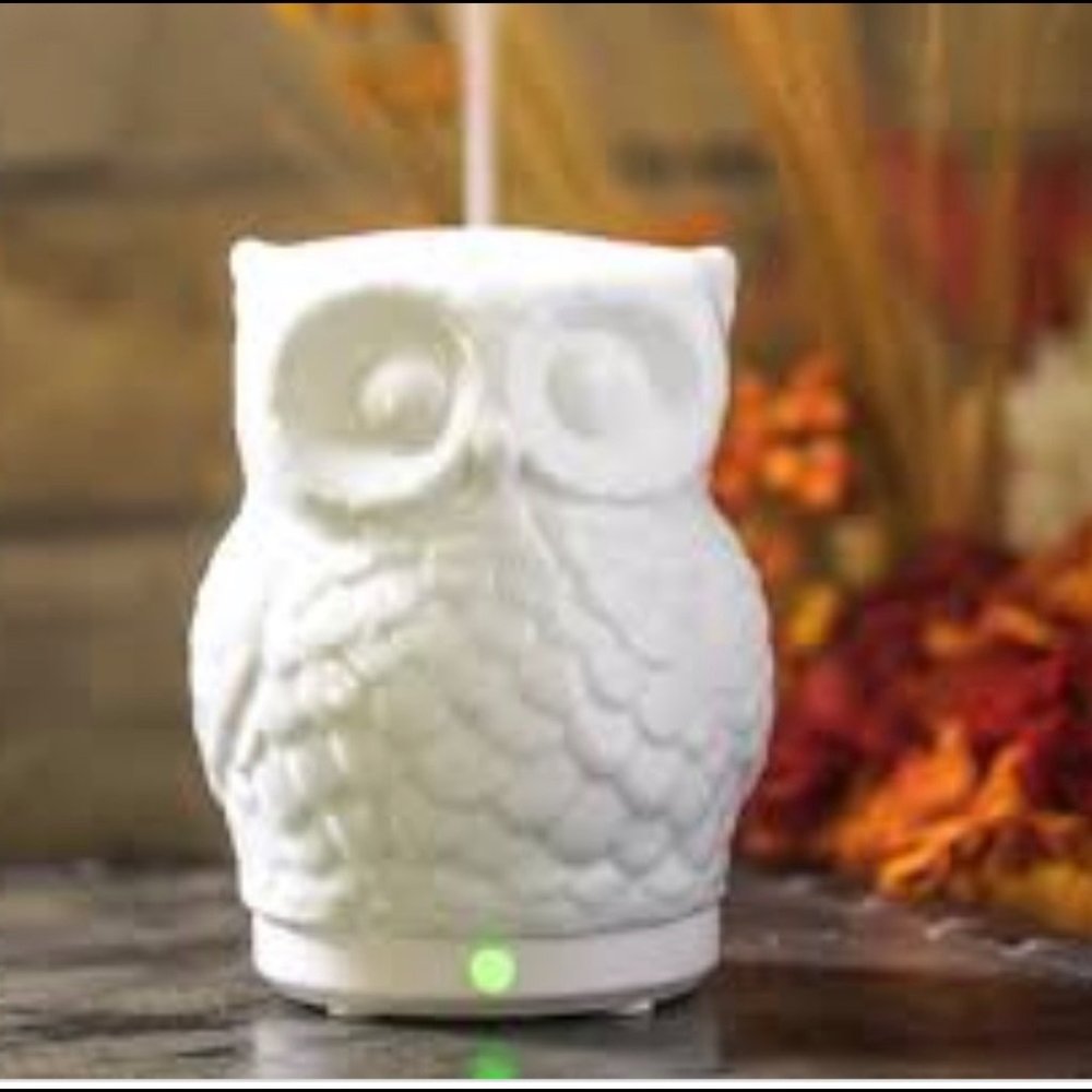 Mister Hoot Owl Essential Oil Diffuser